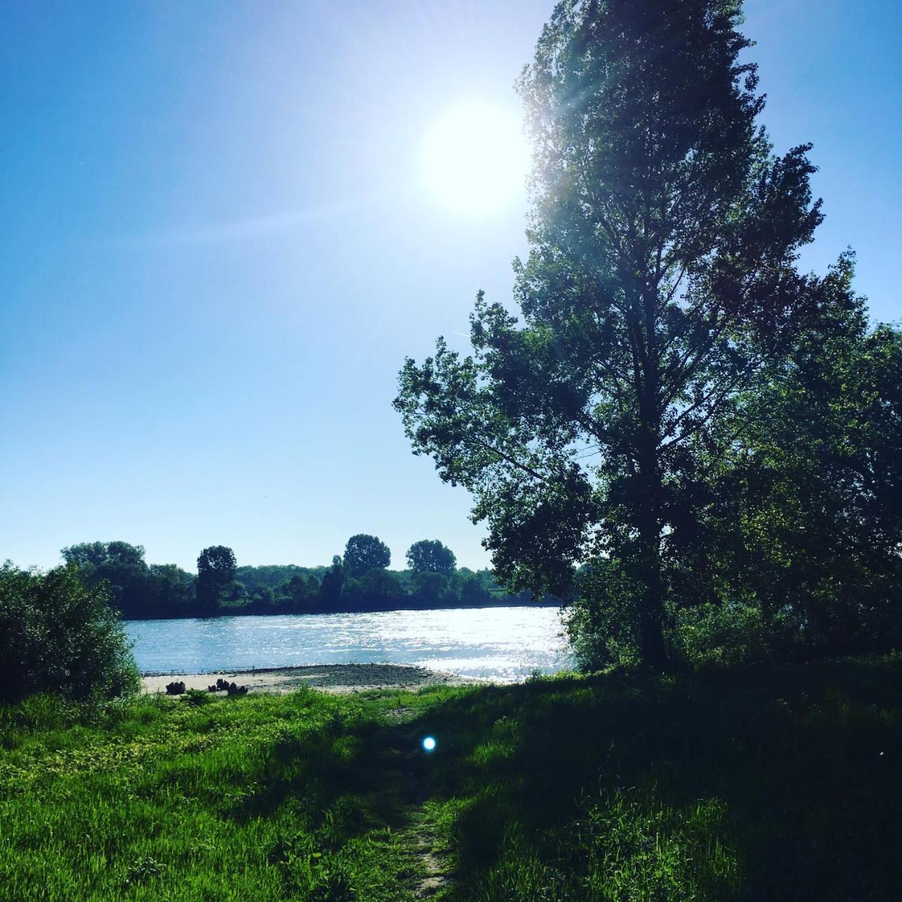 Gaestehaus Kersting Meerbusch Luaran gambar